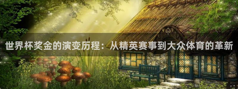 世界杯直播:世界杯奖金的演变历程:从精英赛事到大众体育的革新