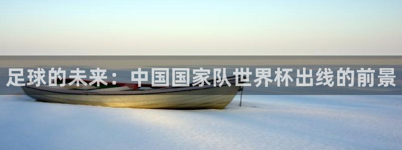 2026年世界杯时间表:足球的未来:中国国家队世界杯出线的前景