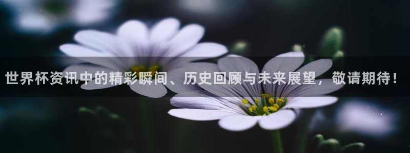 英足总杯直播:世界杯资讯中的精彩瞬间、历史回顾与未来展望,敬请期待!