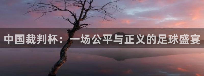 2026世界杯欧洲预选赛赛程表:中国裁判杯:一场公平与正义的足球盛宴