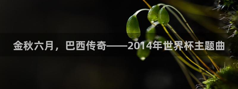 中国 世界杯:金秋六月,巴西传奇——2014年世界杯主题曲