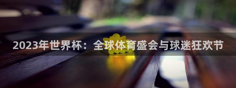 世界杯直播在线观看入口:2023年世界杯:全球体育盛会与球迷狂欢节