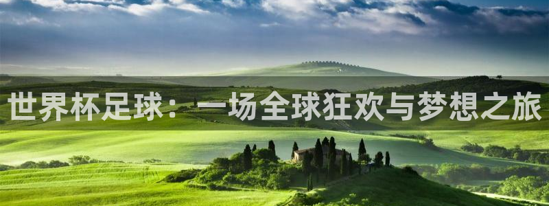 世界杯比赛:世界杯足球:一场全球狂欢与梦想之旅