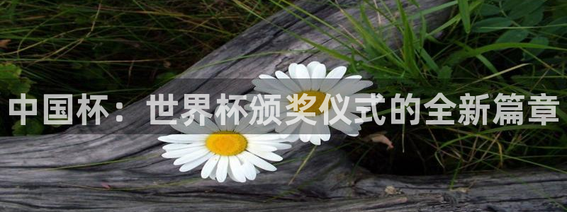 2026世亚预赛赛程表:中国杯:世界杯颁奖仪式的全新篇章