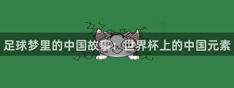 美国世界杯:足球梦里的中国故事:世界杯上的中国元素