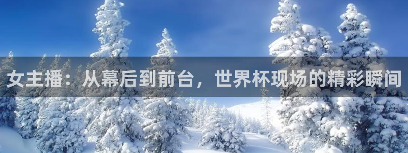 2006年世界杯冠军:女主播:从幕后到前台,世界杯现场的精彩瞬间
